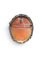 Brosche Mandile 1922 Dame Cammei  in Silber Conchiglia 2MSPCM35.10.26 - 2MSPCM35.10.26